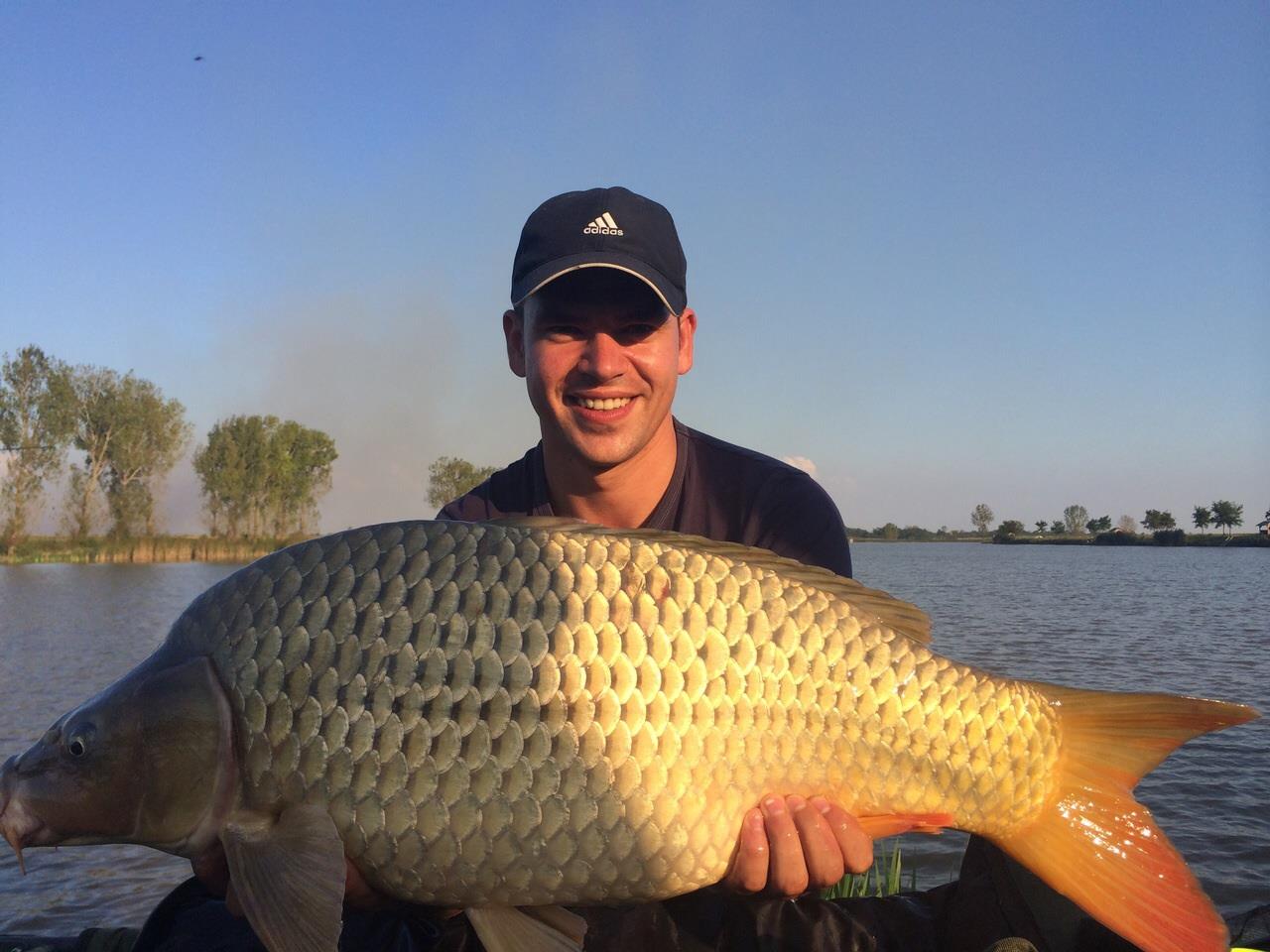 Diverse Teiu 2014 - img-20140913-wa0011.jpg